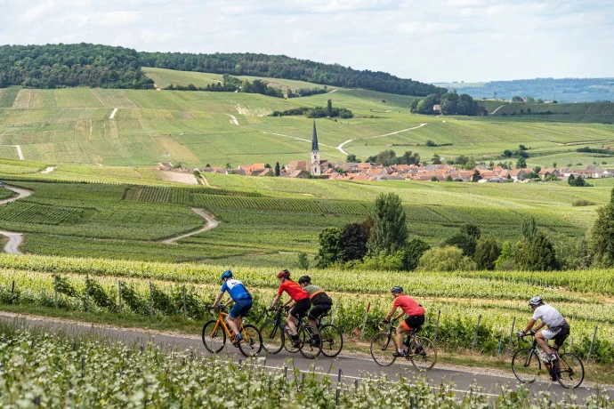 Peloton in de ochtendzon